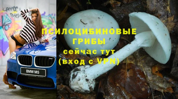СК Абаза