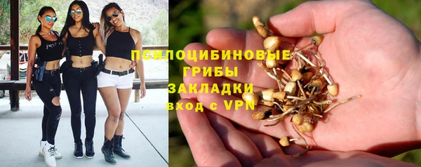 мет Алексеевка