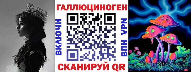 Псилоцибиновые грибы GOLDEN TEACHER  сайты даркнета клад  Кириллов  наркота 